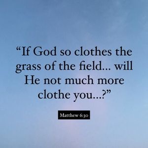 🌟5% off starting discount on bundles of 2+ items!